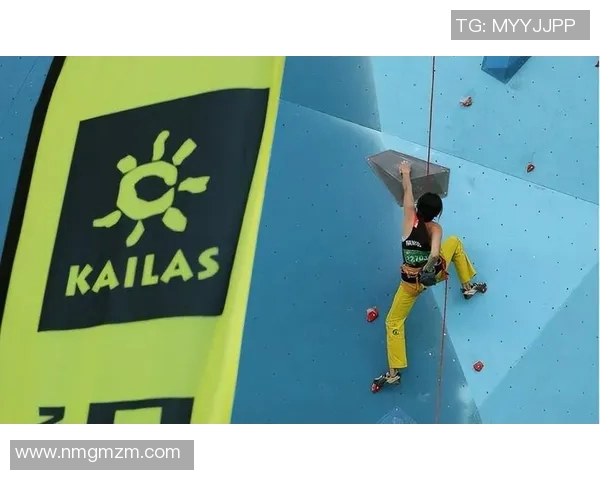 重庆攀岩队技术探讨与训练方法分享助力攀岩运动发展